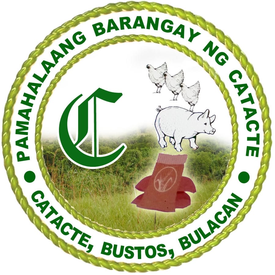 Catacte logo