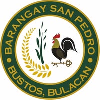 San Pedro logo